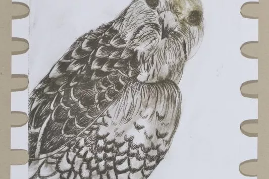 čestné uznání
téma: sbírka známek
autor: Magdaléna Melmuková