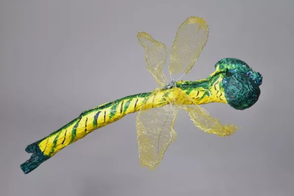 čestné uznání
téma: sbírka vážek
autor: Marie Mácová