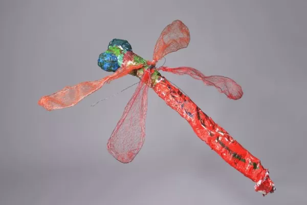 čestné uznání
téma: sbírka vážek
autor: Jonáš Kmoch